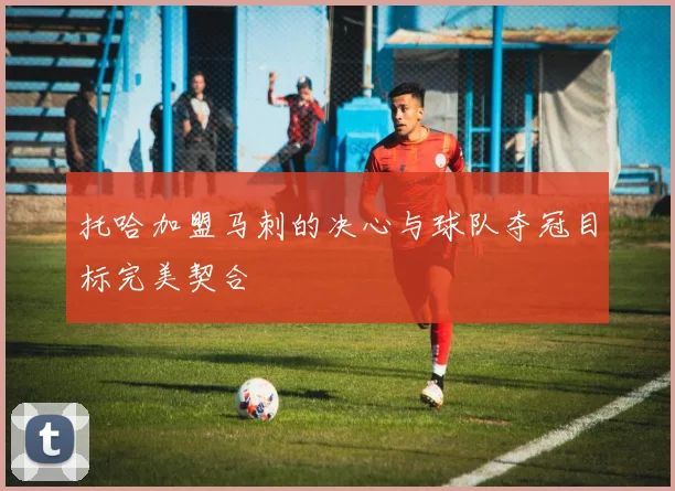 托哈加盟马刺的决心与球队夺冠目标完美契合
